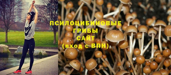 гашиш Алзамай