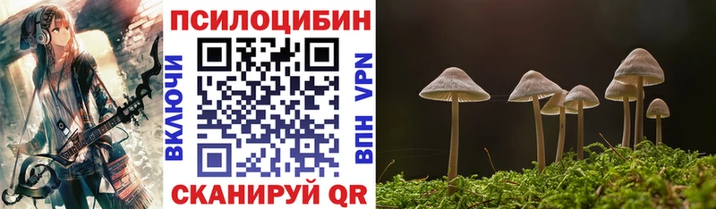 Галлюциногенные грибы Psilocybe  Белоозёрский 